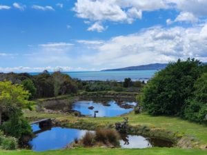Hawley House Tasmania Australia