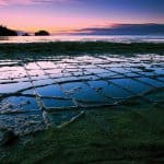 Tesselled Pavement Tasmania Australia