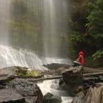 Explore Russel Falls Tasmania Australia