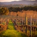 Tamar Valley Tasmania Australia