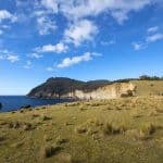 Stop at Maria Island Tasmania Australia