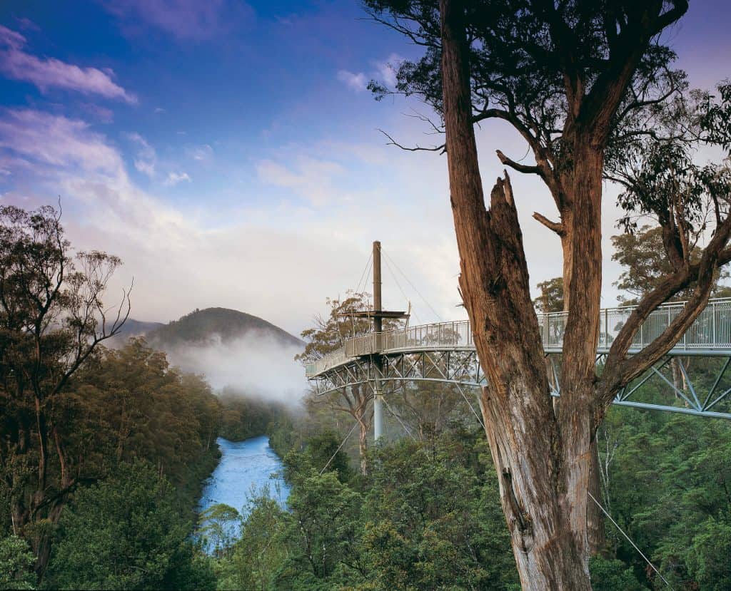 What To See In Tasmania All About Tasmania, Things to Do & Tasmania Holidays