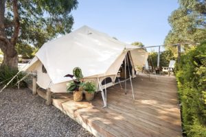 Scamander Sanctuary Holiday Park Tasmania Australia