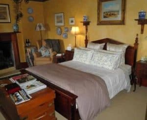 Ivy on Glenelg Tasmania Australia