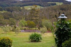 Nierinna Rise Tasmania Australia