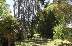 McIntosh Cottages Tasmania Australia