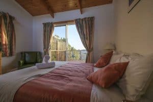 Dove On Freycinet Tasmania Australia