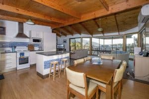 Dove On Freycinet Tasmania Australia