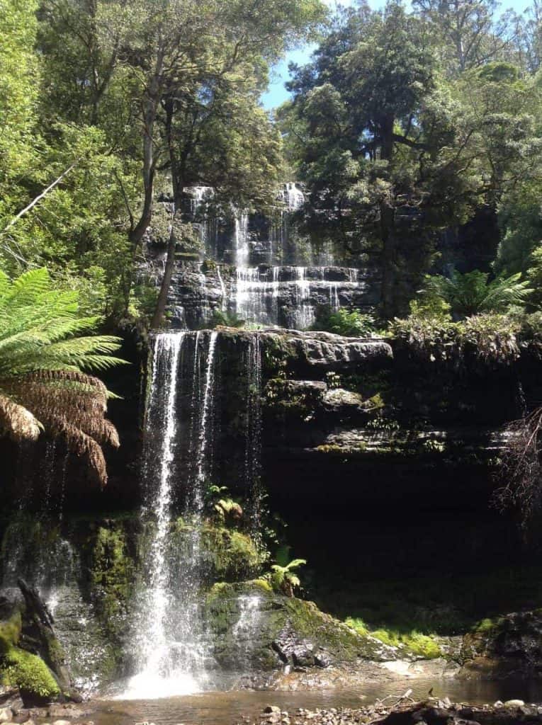 Mt Field, Salmon Ponds and Tasmanian Devils Day Tour Activities in
