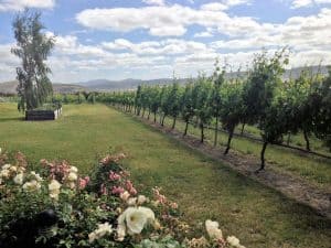 Coal River Valley Wine Tour Activities in Tasmania