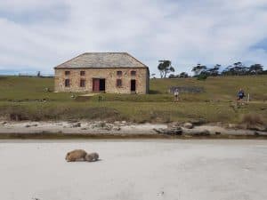 Maria Island Winter Picnic Tasmania Australia
