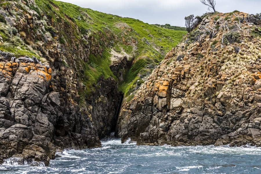 Iron Pot Lighthouse Cruises Boat Tour in Tasmania