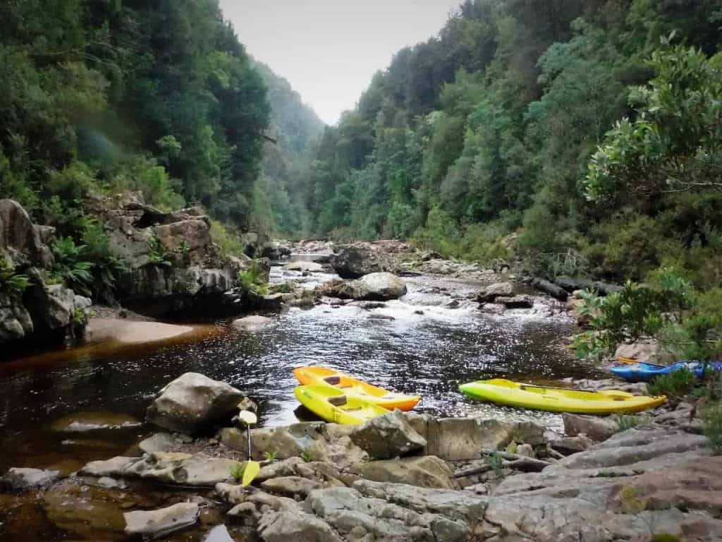 KING RIVER EXPLORER Activities in Tasmania