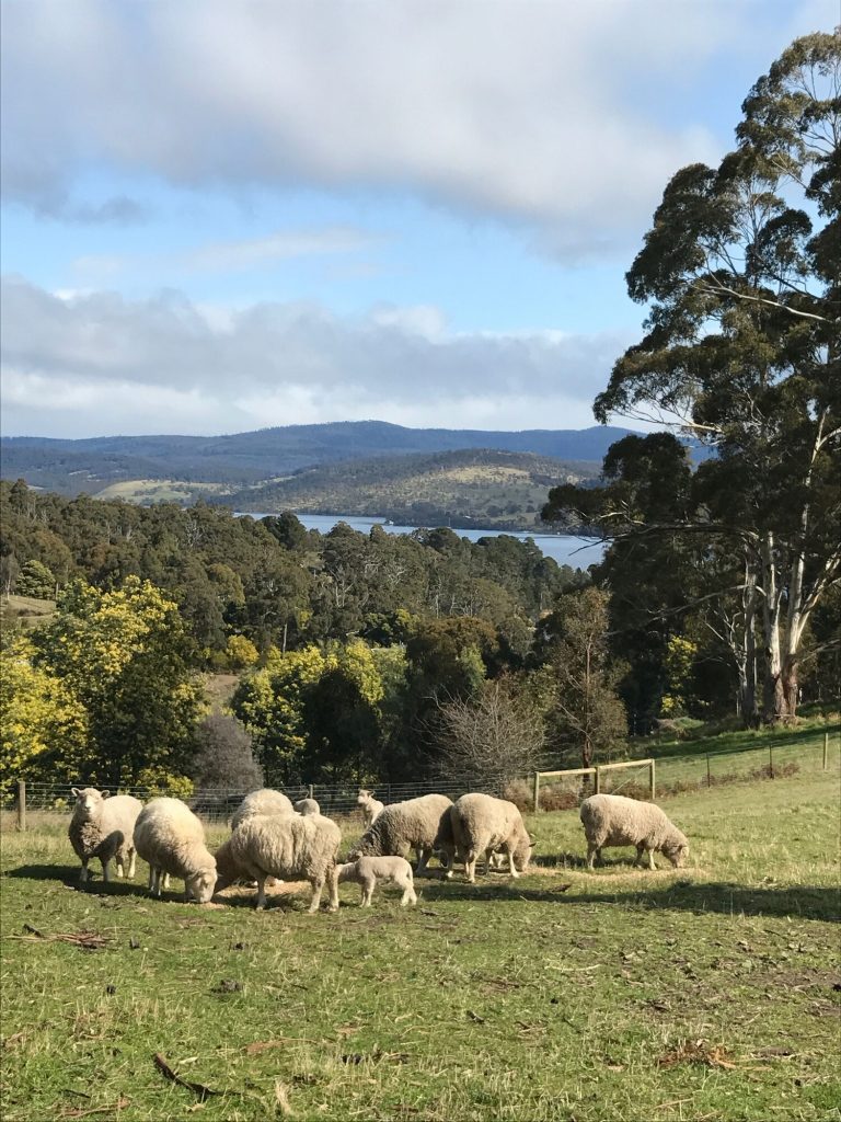 Bramley Cottage Glaziers Bay Tasmania