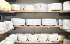 Bruny Island Cheese Co., Tasmania, Australia