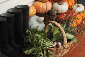 The Agrarian Kitchen , Tasmania, Australia