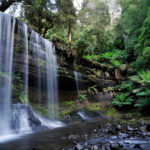 Enjoy Russell Falls Tasmania Australia