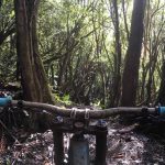 Maydena Bike Park Tasmania Australia