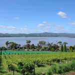 Tamar Valley Tasmania Australia