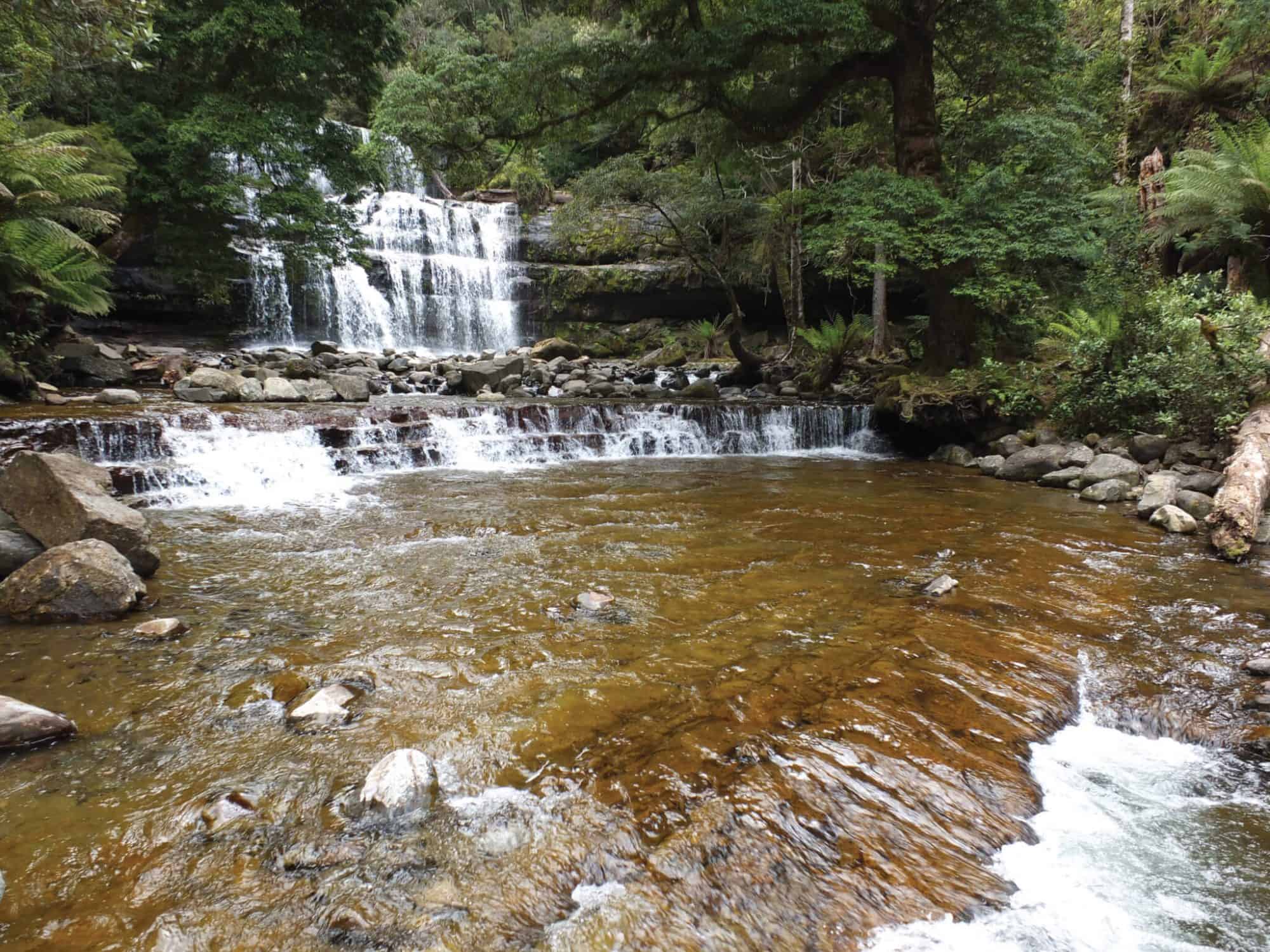 Liffey Falls Trail in Tasmania Tasmania Hiking Tours