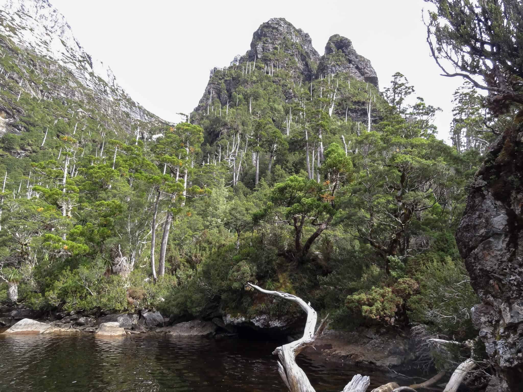 Frenchman’s Cap Guided Walk Tasmania Walking Tours