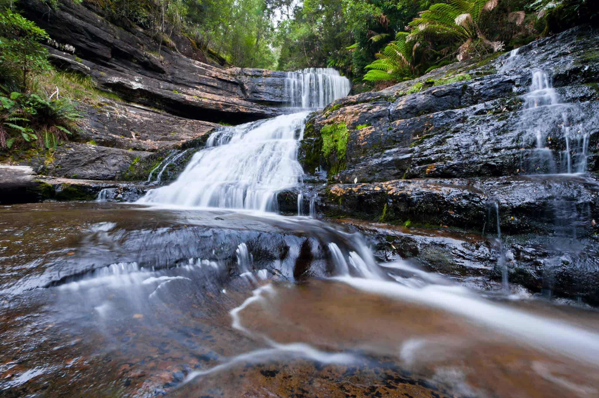 Lady Barron Falls Walk Hiking Tours Experience Tasmania