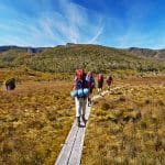 Overland Track Tasmania Australia
