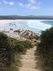 Battery Point Map Tasmania Australia