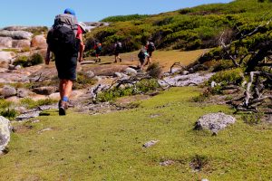 Bay of Fires Lodge Walk, Tasmania, Australia