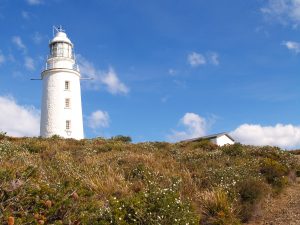 Cape Bruny Lighthouse - Bruny Island Safaris, Tasmania, Australia