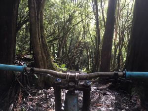 Downhill mountain biking at Maydena Bike Park