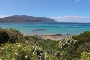 Pirates Bay, Tasmania, Australia