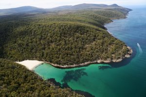 Three Capes Track - Denmans Cove, Tasmania, Australia