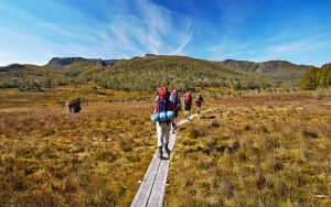 Overland track 2025 guided tours