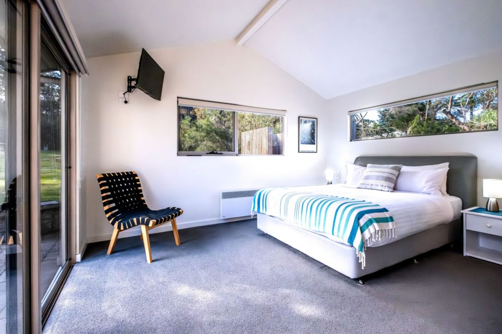 Oystercatcher Tasmania Australia