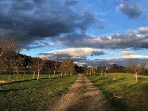 Highland Getaway – Adults Only Tasmania Australia