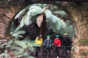 Easy Mountain Bike Tour on Mt. Wellington: Summit & Rainforest Adventure Ride Tasmania Australia