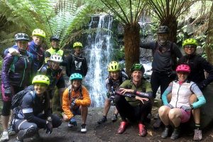 Easy Mountain Bike Tour on Mt. Wellington: Summit & Rainforest Adventure Ride Tasmania Australia