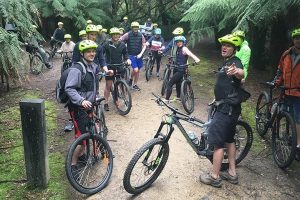 Easy Mountain Bike Tour on Mt. Wellington: Summit & Rainforest Adventure Ride Tasmania Australia
