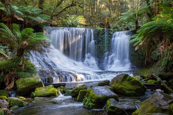 Mt Field National Park and Russell Falls | Tasmania Tours