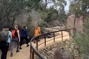 Wineglass Bay Beach Hike Tasmania Australia