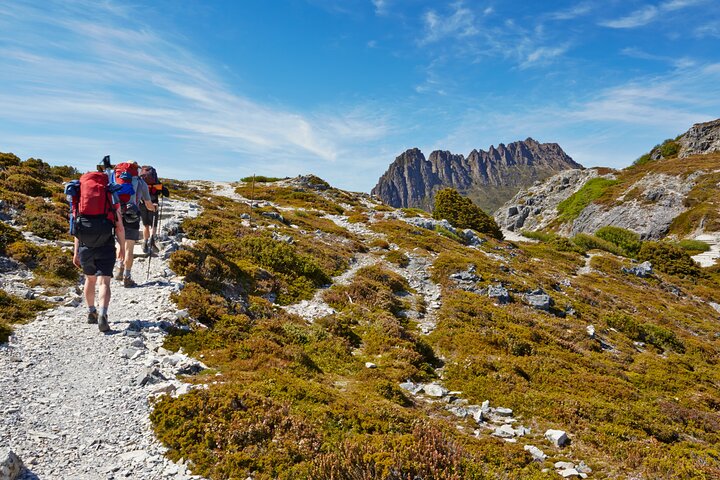 Cradle Mountain Transfer Service | Activities in Tasmania