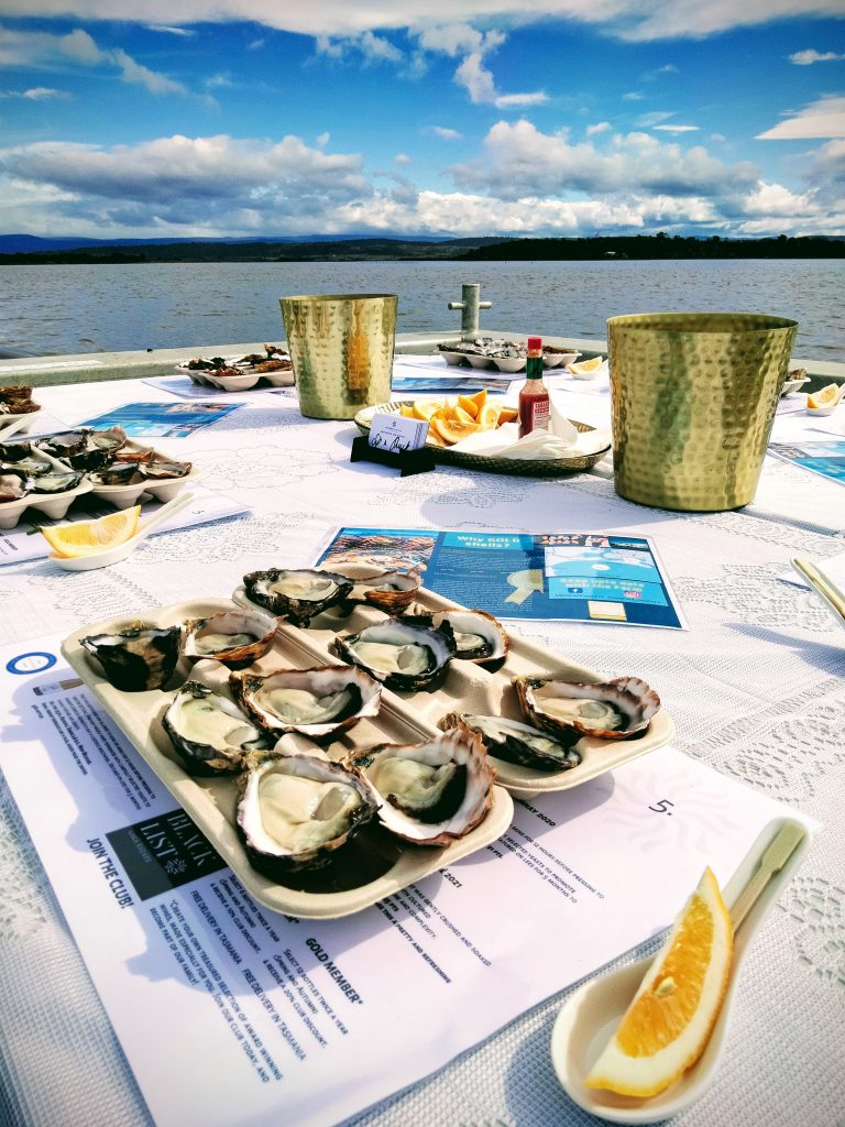 Melshell Oyster Farm Lunch Shucking Lesson & Farming Story