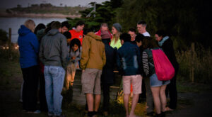 Bicheno Penguin Tour Tasmania Australia