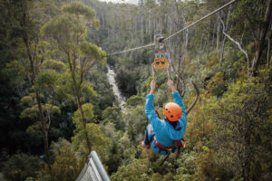 Zipline Adventures Tasmania Australia