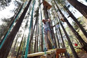 Tree Ropes Course Tasmania Australia