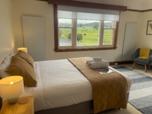 Wandering Trout Tasmania Australia