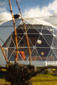 Domescapes in the Vines Tasmania Australia