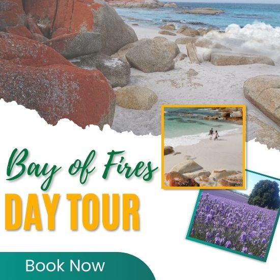 Bay of Fires Day Tour from Launceston