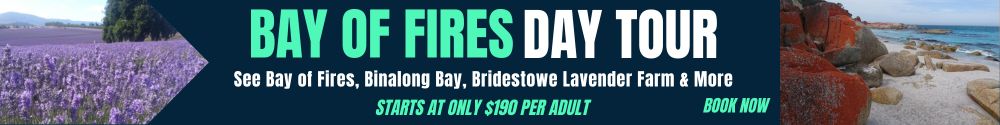 Bay of Fires Day Tour from Launceston